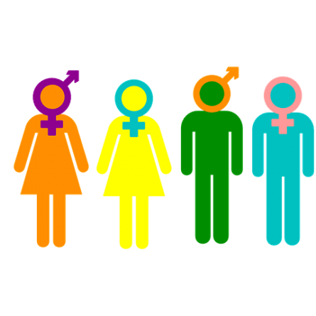 gender and intersex