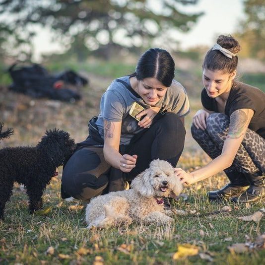 2 women petting dog