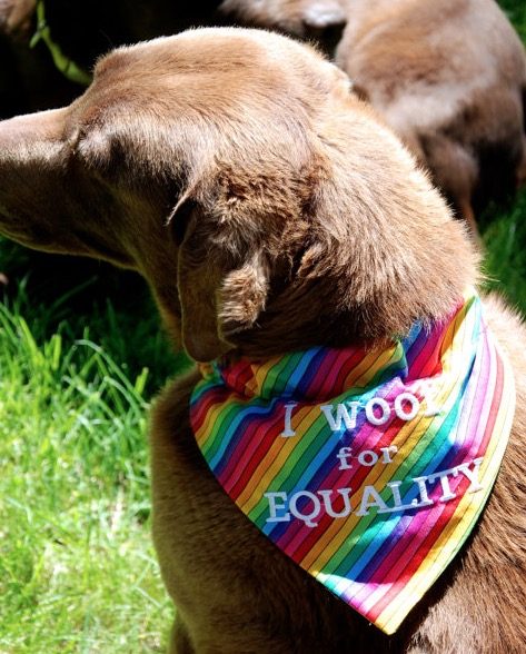 dog with bandenna 'I Woof For Equality!'