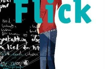 Flick The debut novel by Geraldine Meade