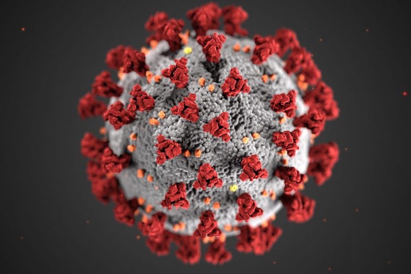 coronavirus