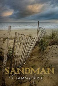 Book Cover for Sandman By Tammy Bird