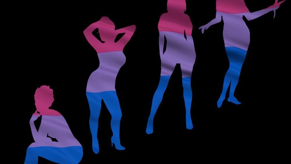 Silhouette Women in Bisexuality Colours