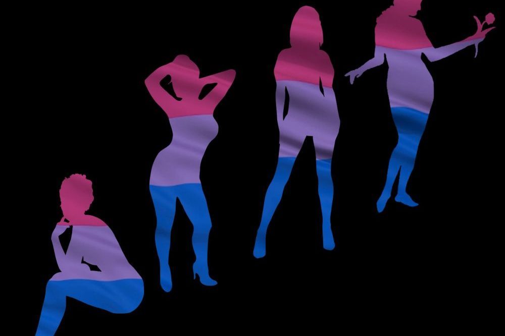 Silhouette Women in Bisexuality Colours