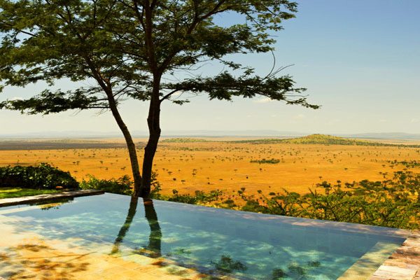 swimming pool at Phinda’s Rock Lodge