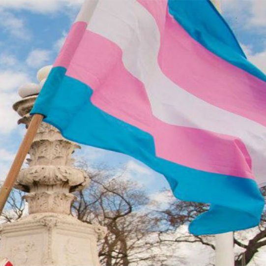 transgender-flag
