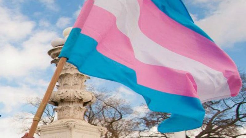 transgender-flag