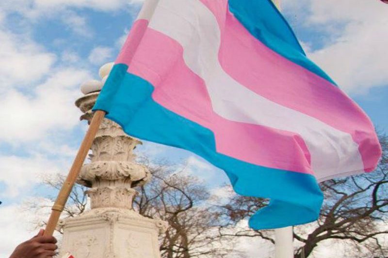 transgender-flag