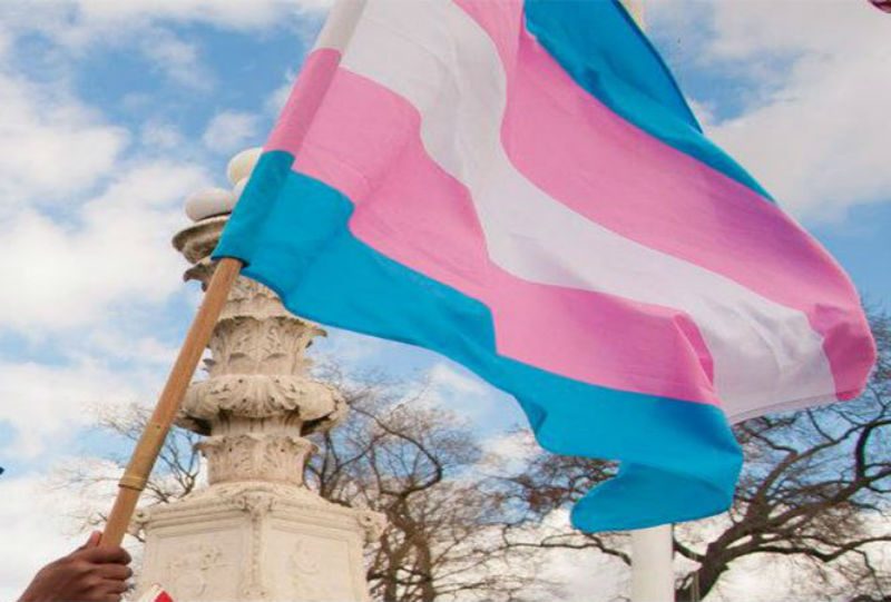 transgender-flag