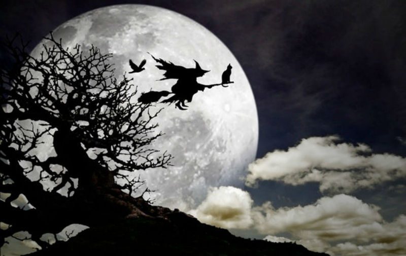 witch riding a broom silouette in front of full moon 