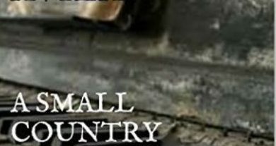 cover of Victoria Avilan's 'A Small Country About To Vanish'