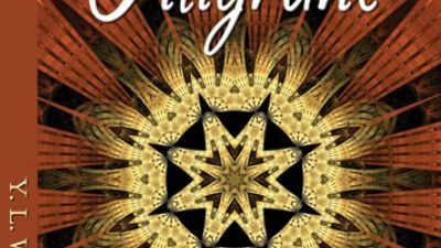 Book Cover for Filigrane By Y. L. Wigman