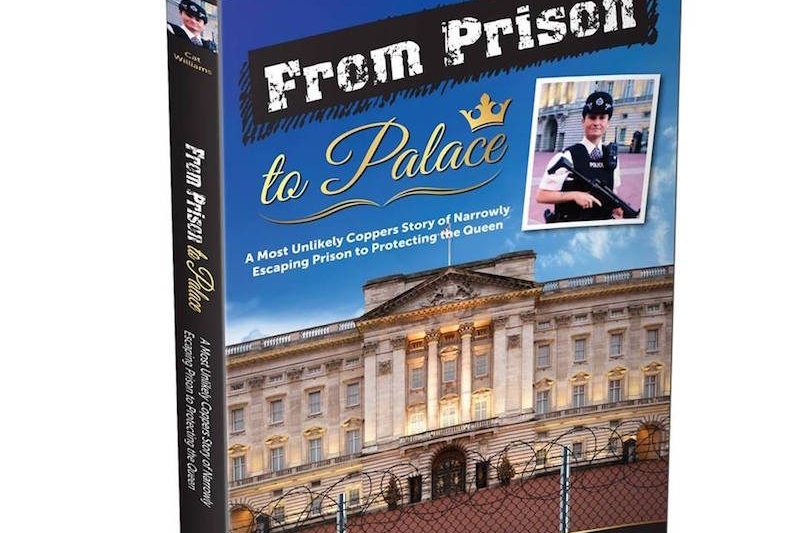 Book Cover for From Prison To Palace By Cat Williams