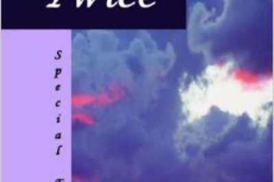 Book Cover of Lynn Galli's 