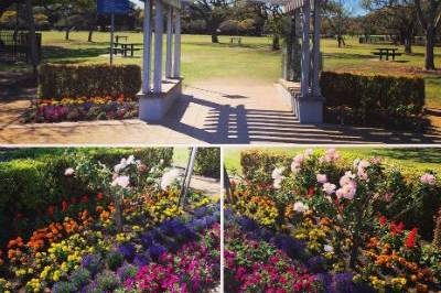 Brisbane Pride Memorial Garden