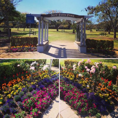 Brisbane Pride Memorial Garden