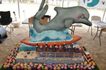 Winning cake at the Coast Out Cake Comp