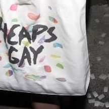 Heaps-Gay-Totes-lotl