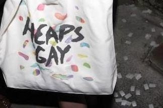 Heaps-Gay-Totes-lotl