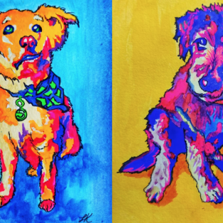 Painting of 4 dogs in colour