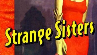 Jaye Zimet - Strange Sisters: The Art of Lesbian Pulp Fiction