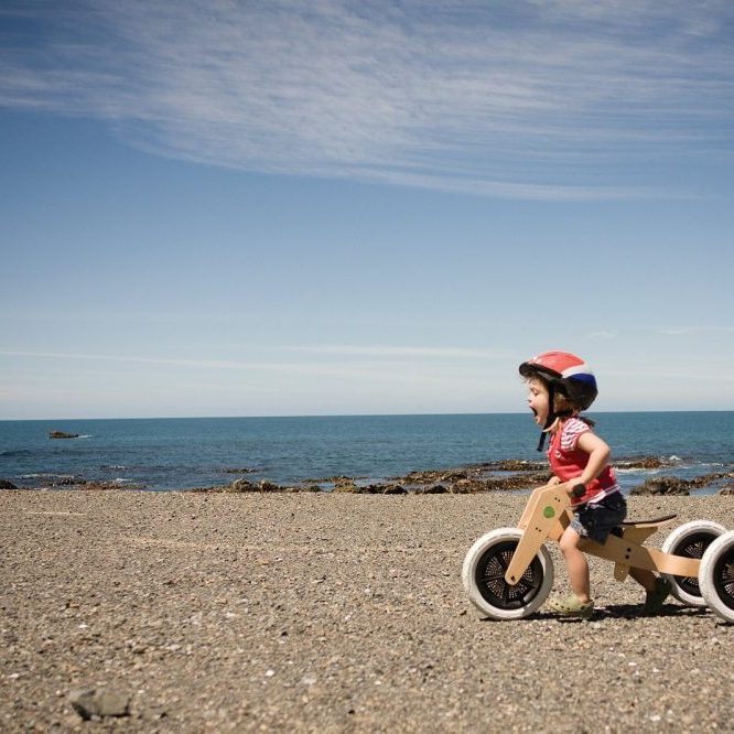 The Wishbone Bike