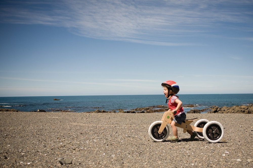 The Wishbone Bike