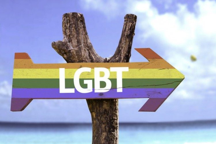 Wooden sign in rainbow colours and word LGBT