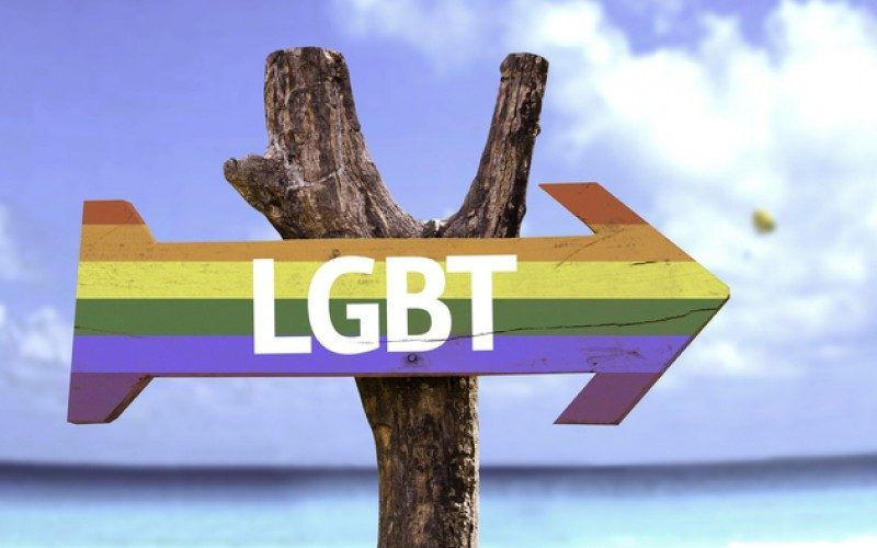 Wooden sign in rainbow colours and word LGBT