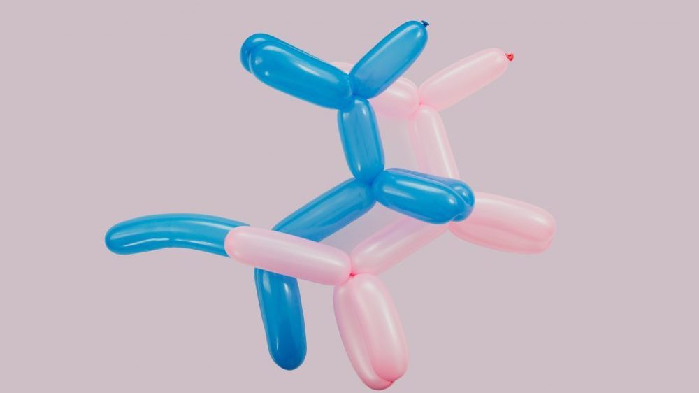 blue and pink ballon dog figure