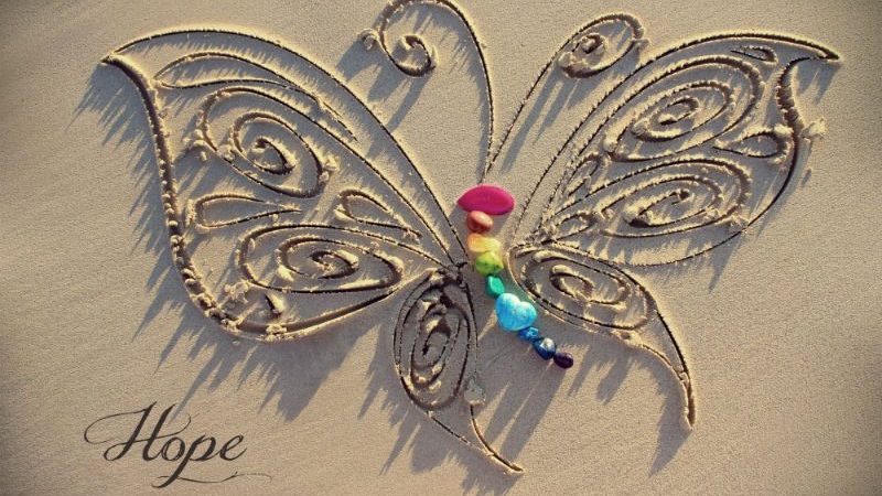 butterfly art