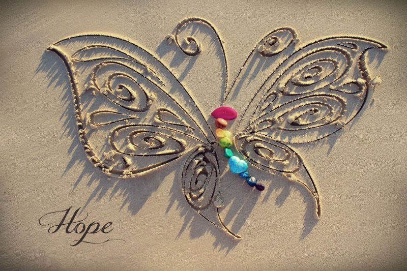 butterfly art