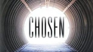 Book Review: 'Chosen' by Brey Willows
