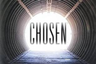 Book Review: 'Chosen' by Brey Willows