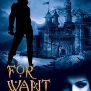 Book Cover For Want of a Fiend by Barbara Ann Wright