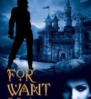 Book Cover For Want of a Fiend by Barbara Ann Wright