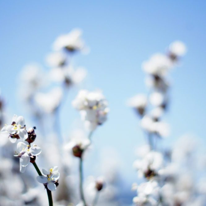 The Often-Misunderstood Premise of the Cotton Ceiling