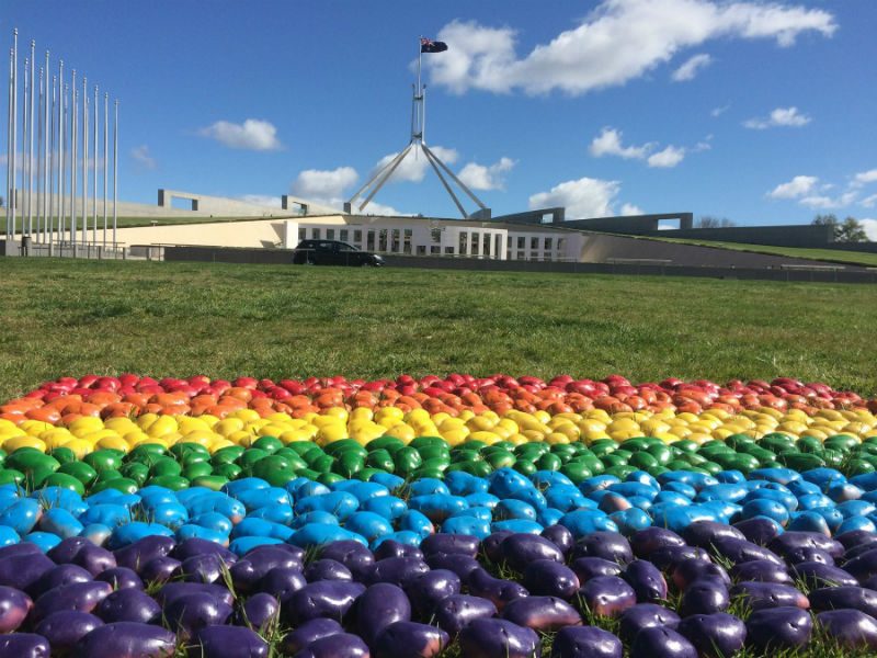 A Potato Pride Flag