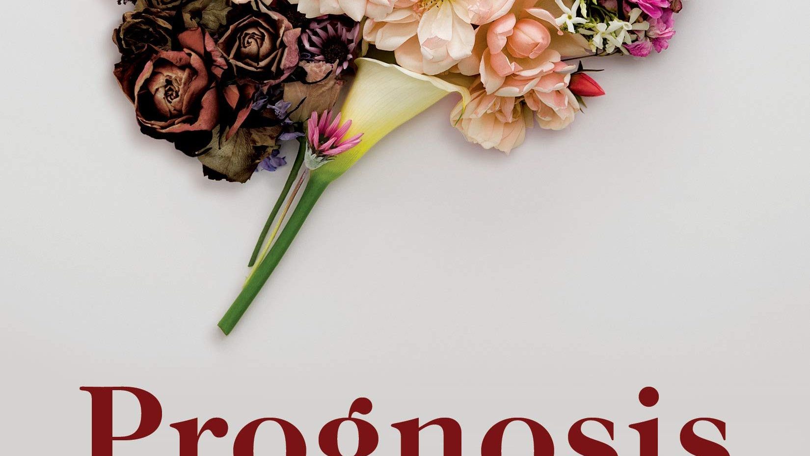 Review: Prognosis - Sarah Vallance