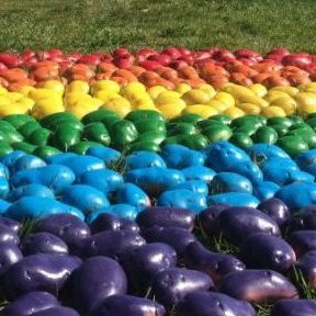 A Potato Pride Flag