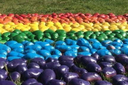 A Potato Pride Flag