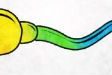 rainbow sperm