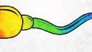 rainbow sperm