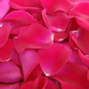 rose pedals