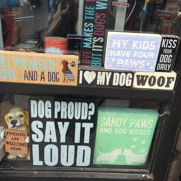 window display for dog lovers