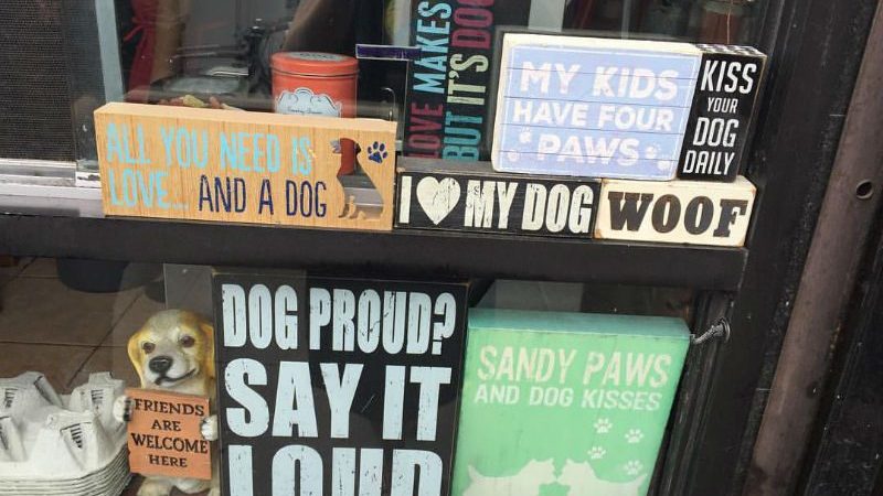 window display for dog lovers
