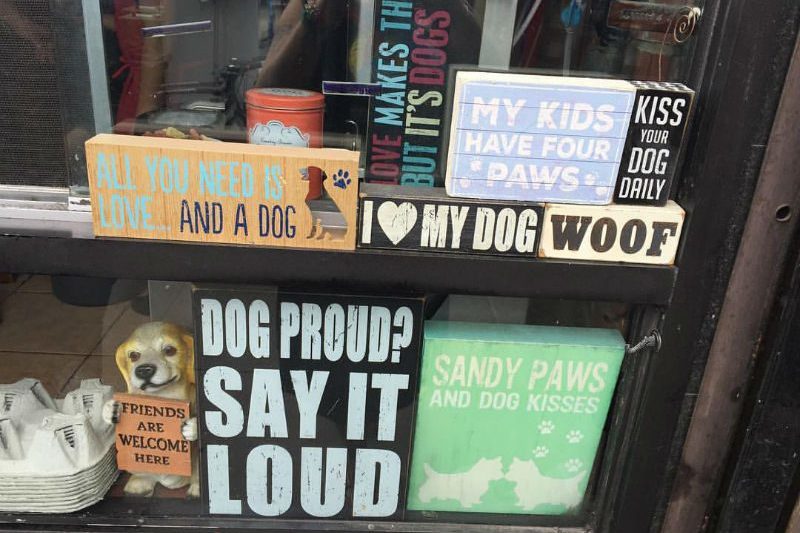 window display for dog lovers