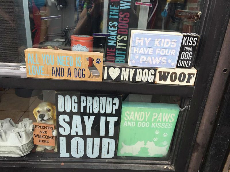 window display for dog lovers 